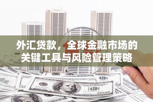 甘肃外汇贷款，全球金融市场的关键工具与风险管理策略