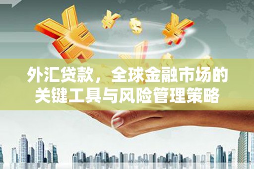 甘肃外汇贷款，全球金融市场的关键工具与风险管理策略