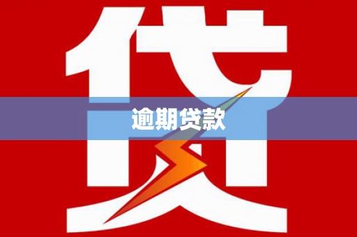 甘肃逾期贷款