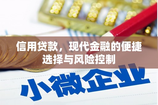 甘肃信用贷款，现代金融的便捷选择与风险控制