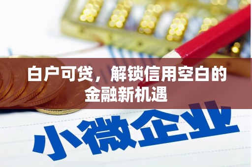 甘肃白户可贷，解锁信用空白的金融新机遇