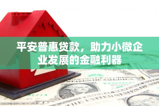甘肃平安普惠贷款，助力小微企业发展的金融利器