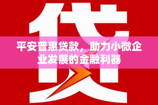 甘肃平安普惠贷款，助力小微企业发展的金融利器