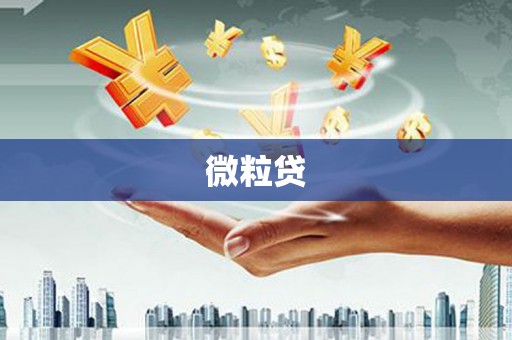 甘肃微粒贷