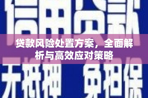 甘肃贷款风险处置方案，全面解析与高效应对策略