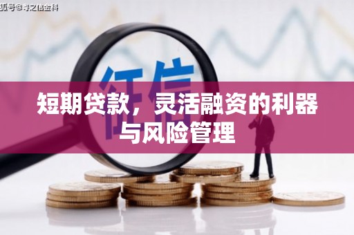 甘肃短期贷款，灵活融资的利器与风险管理