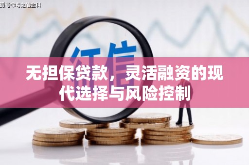 甘肃无担保贷款，灵活融资的现代选择与风险控制