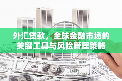 甘肃外汇贷款，全球金融市场的关键工具与风险管理策略