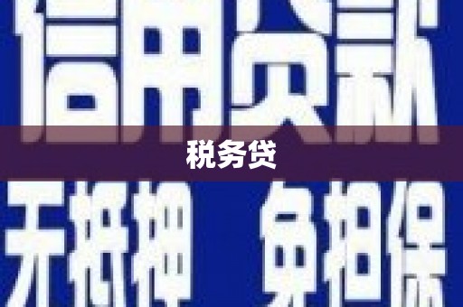 甘肃税务贷