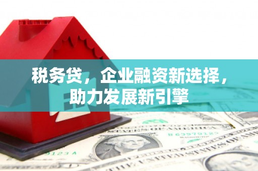 甘肃税务贷，企业融资新选择，助力发展新引擎