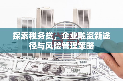 甘肃探索税务贷，企业融资新途径与风险管理策略