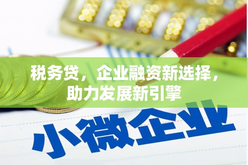甘肃税务贷，企业融资新选择，助力发展新引擎