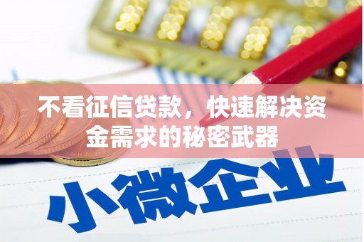 甘肃不看征信贷款，快速解决资金需求的秘密武器