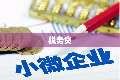 甘肃税务贷