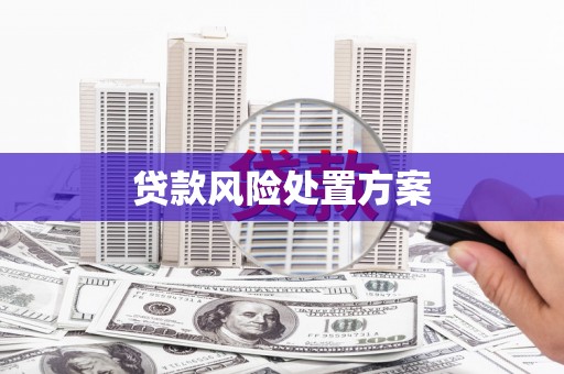 甘肃贷款风险处置方案