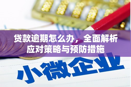 甘肃贷款逾期怎么办，全面解析应对策略与预防措施