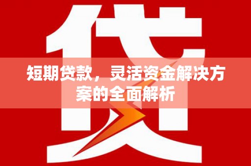 甘肃短期贷款，灵活资金解决方案的全面解析