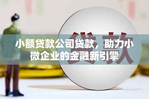 甘肃小额贷款公司贷款，助力小微企业的金融新引擎