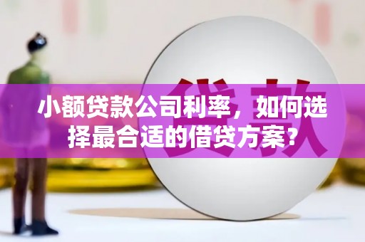 甘肃小额贷款公司利率，如何选择最合适的借贷方案？