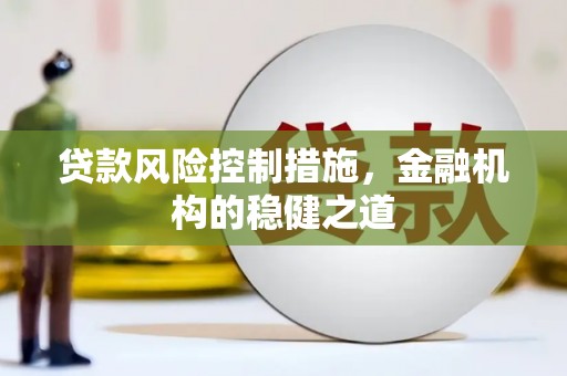 甘肃贷款风险控制措施，金融机构的稳健之道