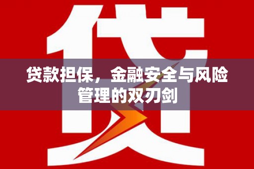 甘肃贷款担保，金融安全与风险管理的双刃剑