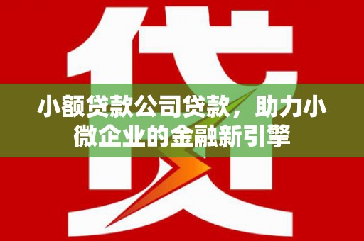 甘肃小额贷款公司贷款，助力小微企业的金融新引擎