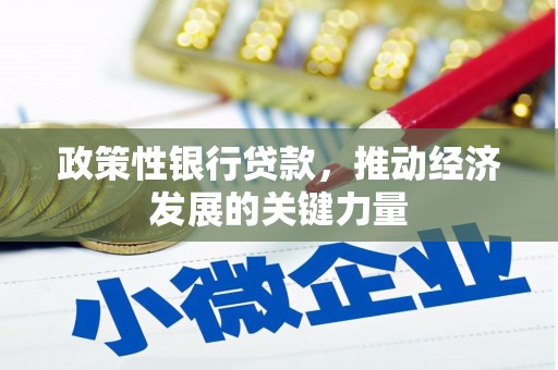 甘肃政策性银行贷款，推动经济发展的关键力量
