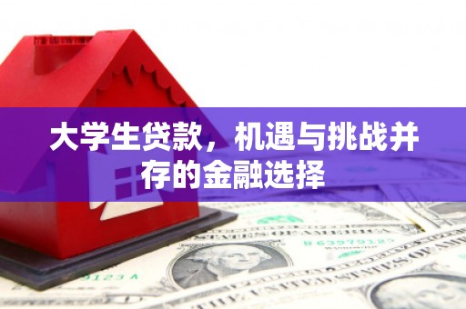 甘肃大学生贷款，机遇与挑战并存的金融选择