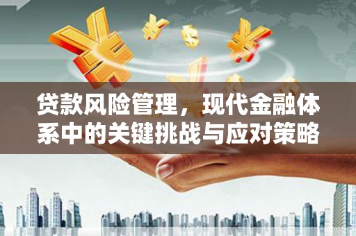 甘肃贷款风险管理，现代金融体系中的关键挑战与应对策略