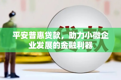 甘肃平安普惠贷款，助力小微企业发展的金融利器