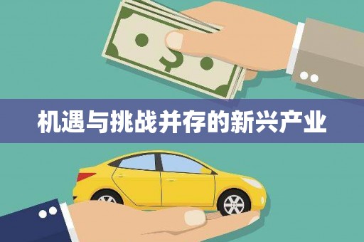 甘肃机遇与挑战并存的新兴产业