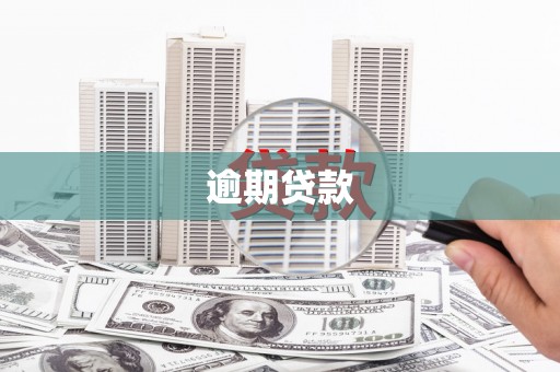 甘肃逾期贷款