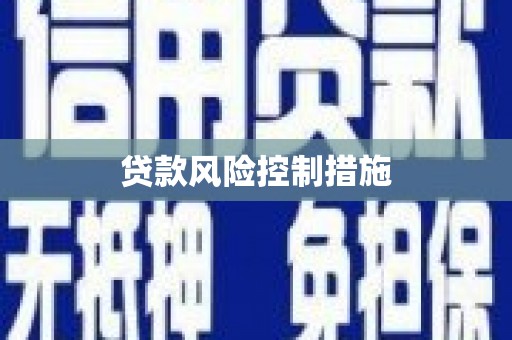 甘肃贷款风险控制措施