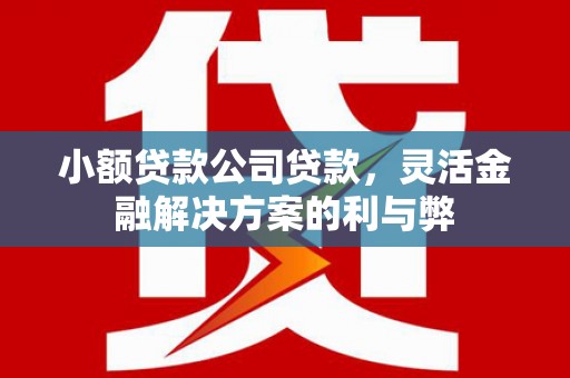 甘肃小额贷款公司贷款，灵活金融解决方案的利与弊