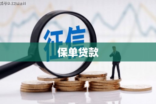 甘肃保单贷款